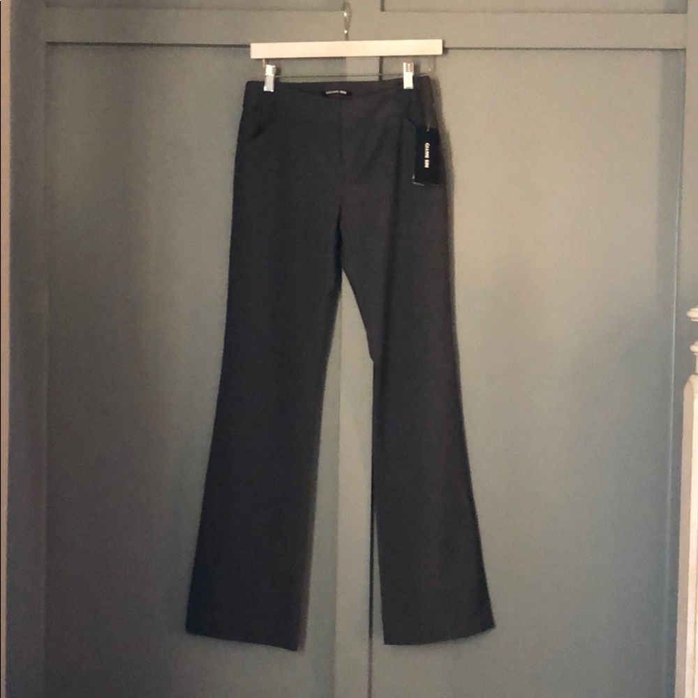 Gianni Bini Dalinda Pant